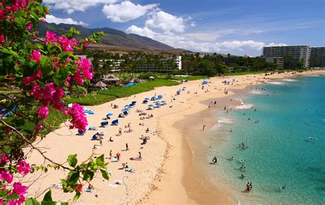 Beaches in hawaii. Things To Know About Beaches in hawaii. 